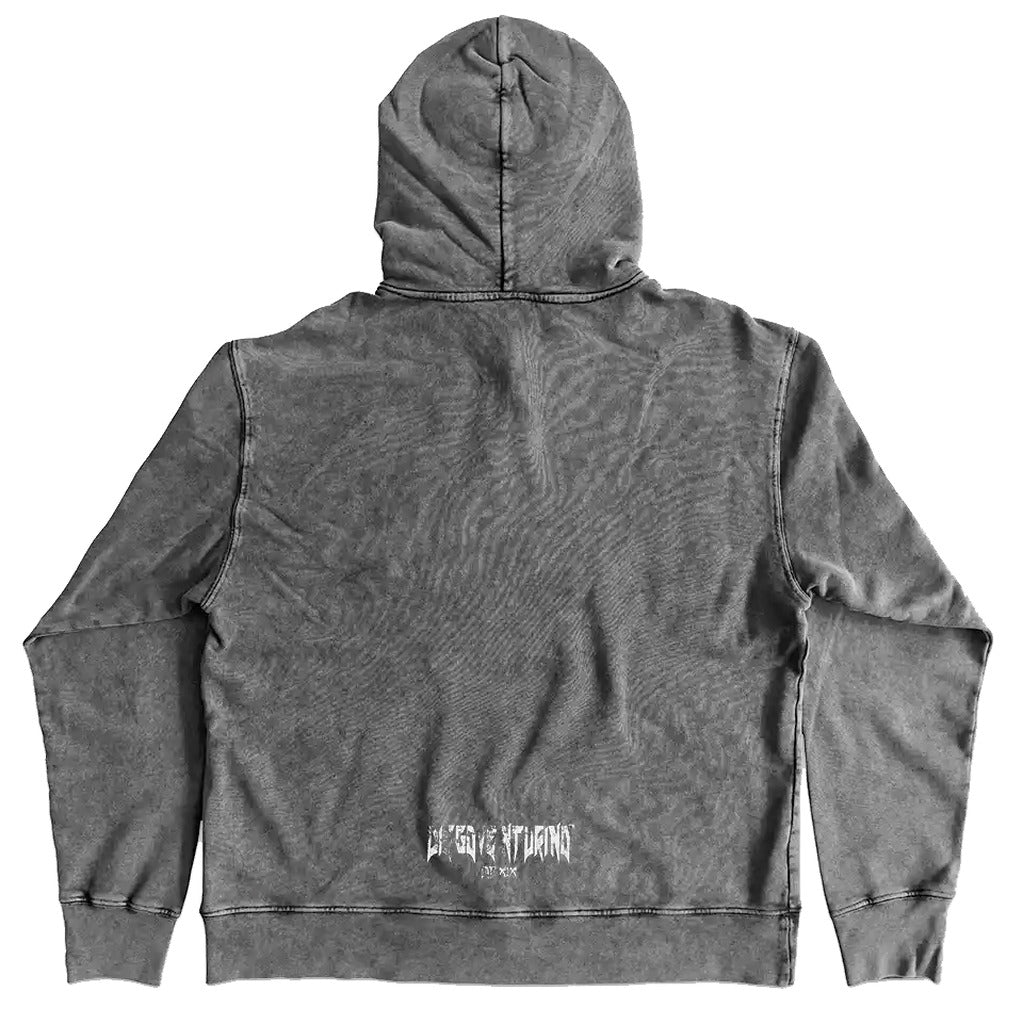 DIEGO VENTURINO - dvflh-tdstr-piombo